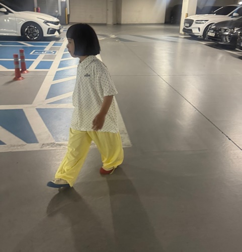 카라t [3color]