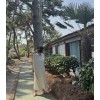 데일리ops